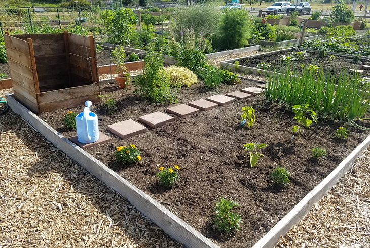 THPRD provides gardening opportunities at 17 sites within the district. For more information, call 503-629-6300.